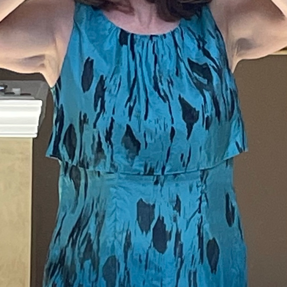 CAbi silk top
